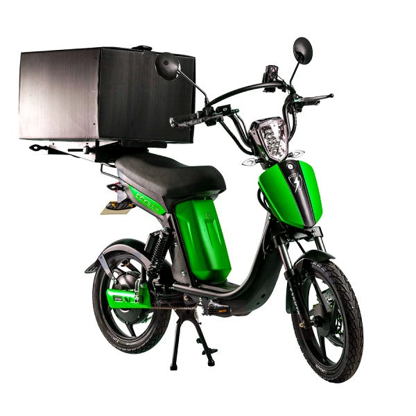 Electric Assisted Delivery Bike