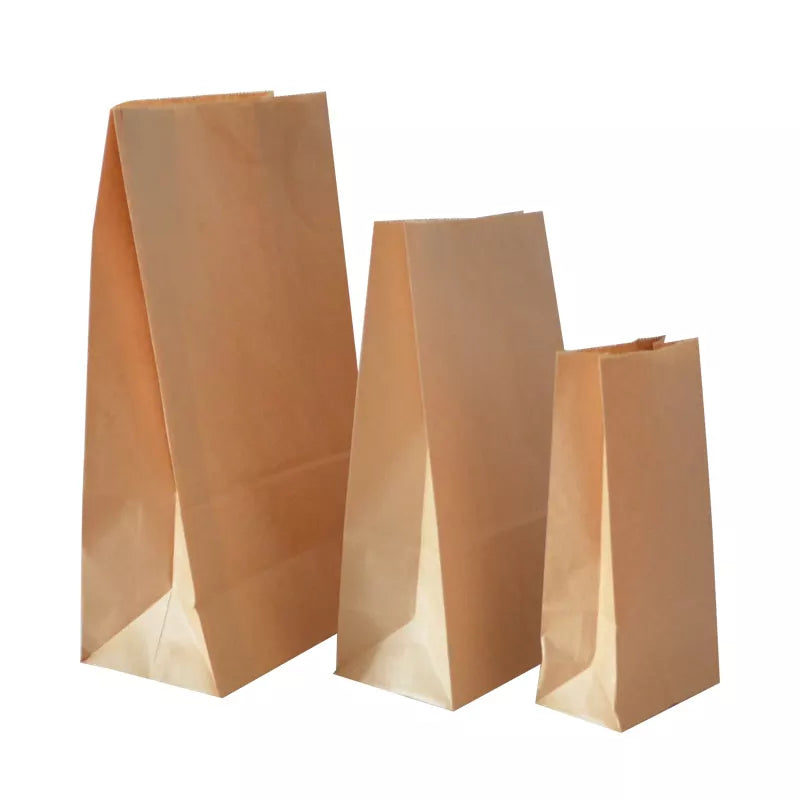 Paper Kraft Bag