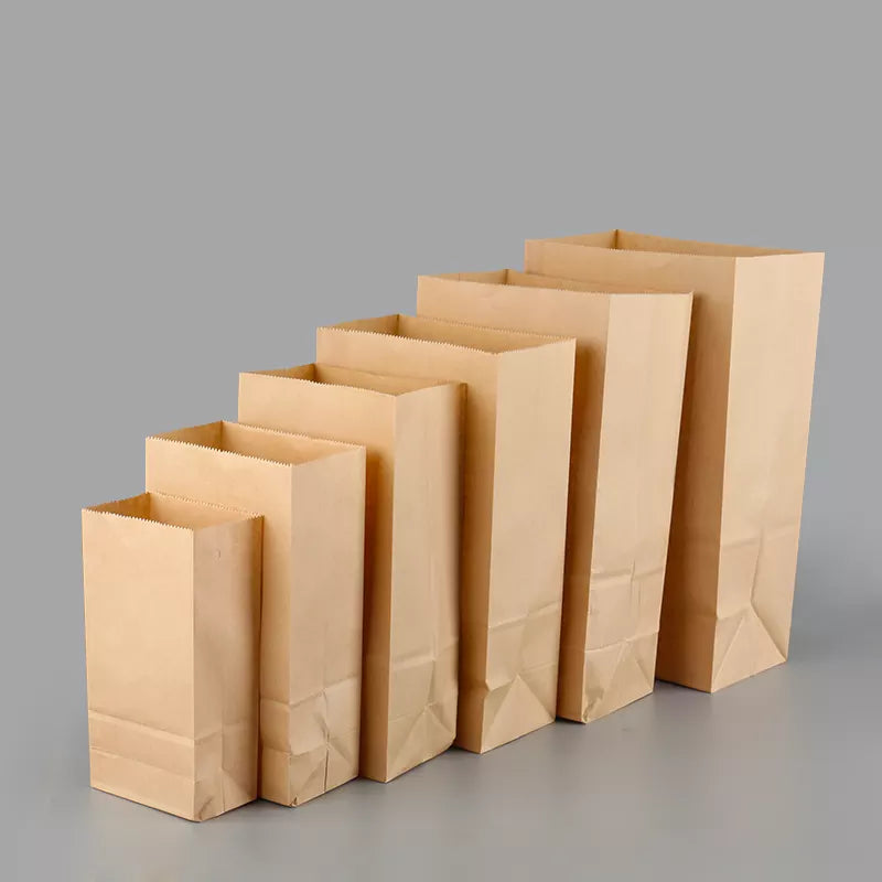 Paper Kraft Bag