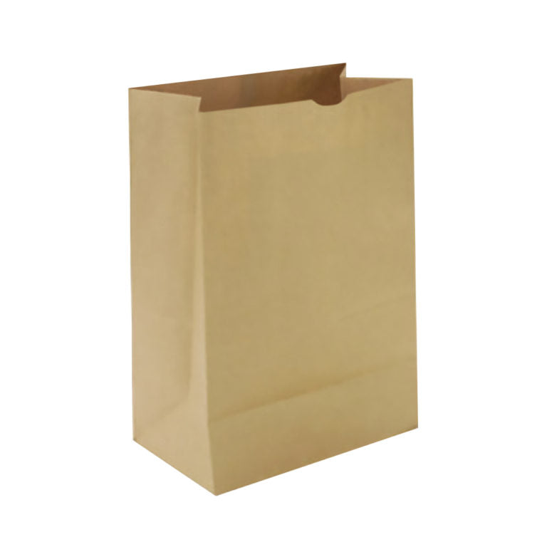 Paper Kraft Bag